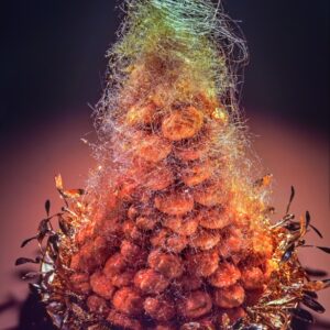 MONTAGNA DI PROFITEROLS CON ZUCCHERO FILATO - A12830 - 3210