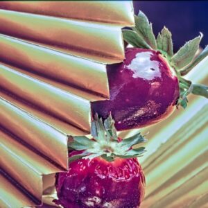 FRAGOLE AL CIOCCOLATO - GR 2600 - 3319