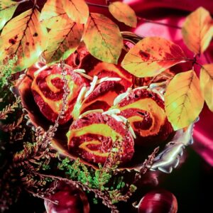 ROTOLO DI CASTAGNE - GR2699 - 2115