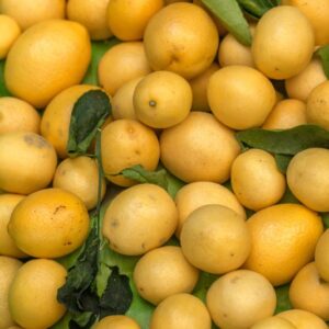 LIME GIALLO - RUTACEAE - 1321