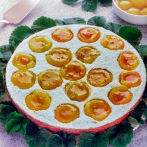 TORTA SOFFIATA ALLE ALBICOCCHE - GR 2283 - 2487