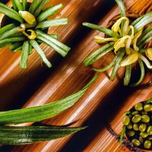 SOIA E GERMOGLI DI SOIA - S 86880 - 1681