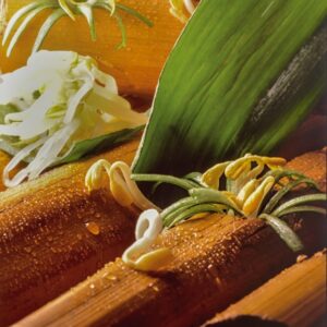 SOIA E GERMOGLI DI SOIA - S 86880 - 1682