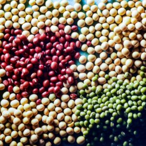 S 86890 SOIA ROSSA, GIALLA E VERDE