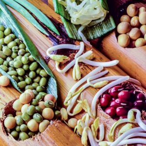 SOIA E GERMOGLI DI SOIA - S 86880 - 1742