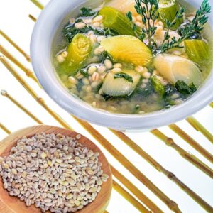 ZUPPA DI ORZO ALLO YOGURT - GR 2590 - 1744
