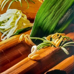 SOIA E GERMOGLI DI SOIA - S 86880 - 1751