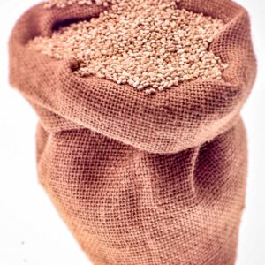 QUINOA - S01031695