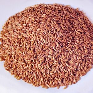 AVENA