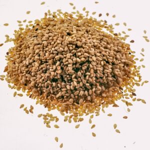 S 0101 SEMI DI SESAMO