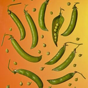 PISELLI FRESCHI, BACCELLI - S 1400 - 1943