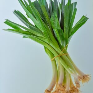 PORRI - S 6700 - 1996