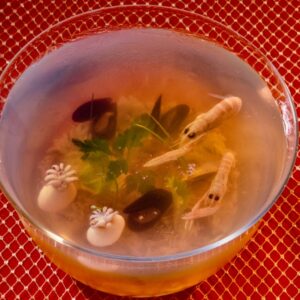 ACQUARIO DI GELATINA - S 58950 - 9060
