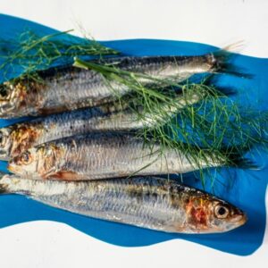 ANETO, INGREDIENTI, SARDINE - S NT145