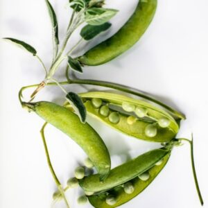 PISELLI E SALVIA - 3772