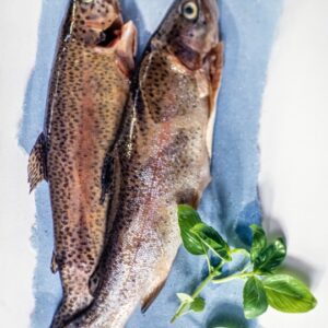 TROTE SALMONATE