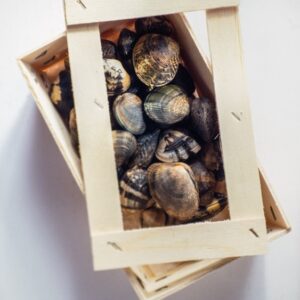 VONGOLE VERACI