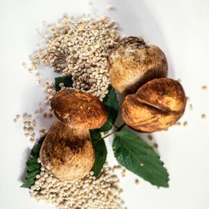 ORZO E FUNGHI PORCINI - 3817