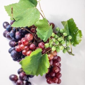 UVA NERA, UVA ROSSA,