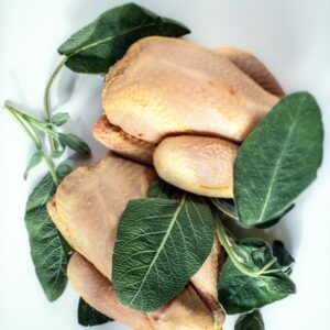 POLLI E SALVIA - 3821