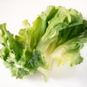 LATTUGA INSALATA - 3894