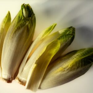 INGREDIENTI, INDIVIA BELGA - 3977