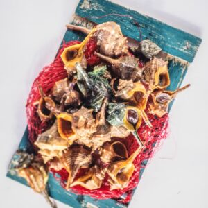 CONCHIGLIE, GARAGOLO, INGREDIENTI, STILL LIFE - 3991