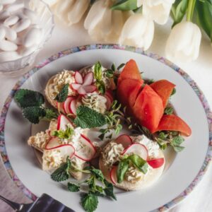 TARTINE CON FORMAGGIO ERBE E RAPANELLI - S47920 - 4725