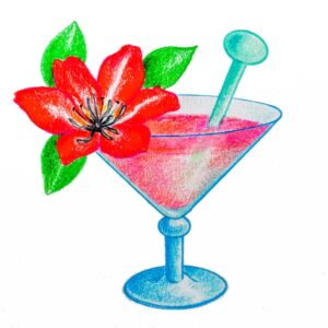 COCKTAIL ROSSO CON HIBISCO