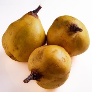 MELE COTOGNE - S168880 - 5289