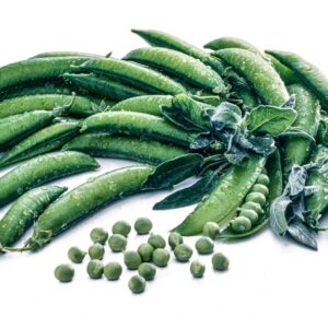 PISELLI - GR1950 - 5295