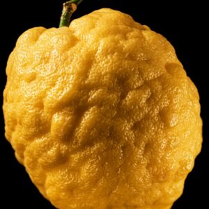 CEDRO - S154900 - 5351