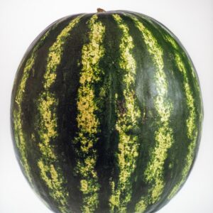ANGURIA - S 201910 - 5385