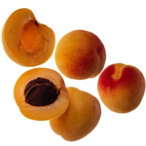 STILL LIFE ALBICOCCHE - S 2500 - 5393