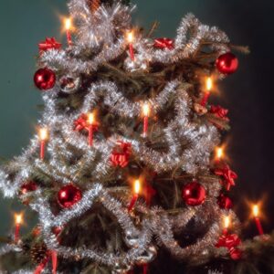 ALBERO DI NATALE DECOR - 5511
