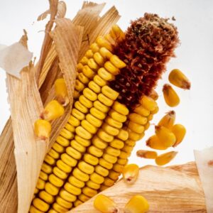 PANNOCCHIA DI GRANOTURCO