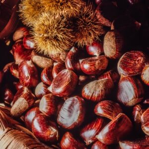 CASTAGNE E RICCI - 5589