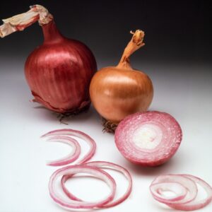 CIPOLLE