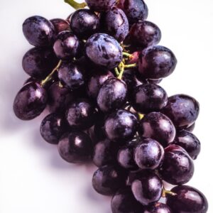 S203900 UVA CARDINAL - UVA AMERICANA