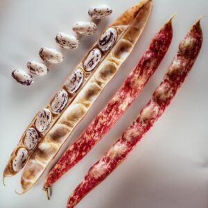 S02940 FAGIOLI BORLOTTI