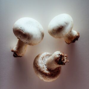 FUNGHI CHAMPIGNONS - 5760