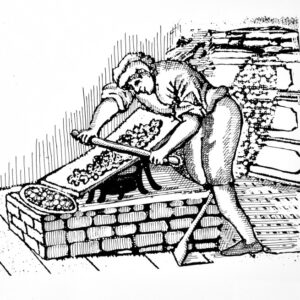 LAVORAZIONE FAVE DI CACAO
