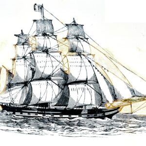 - NAVE MERCANTILE 800