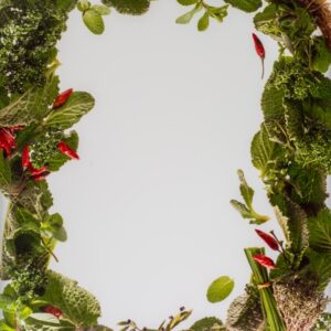 CORNICE DECOR ERBE AROMATICHE E FOGLIE - 8445