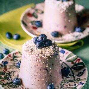 SEMIFREDDO AI MIRTILLI - 9470