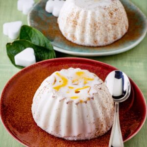 BUDINO DI CIPOLLE E FIORI DI ZUCCHINA - 3059