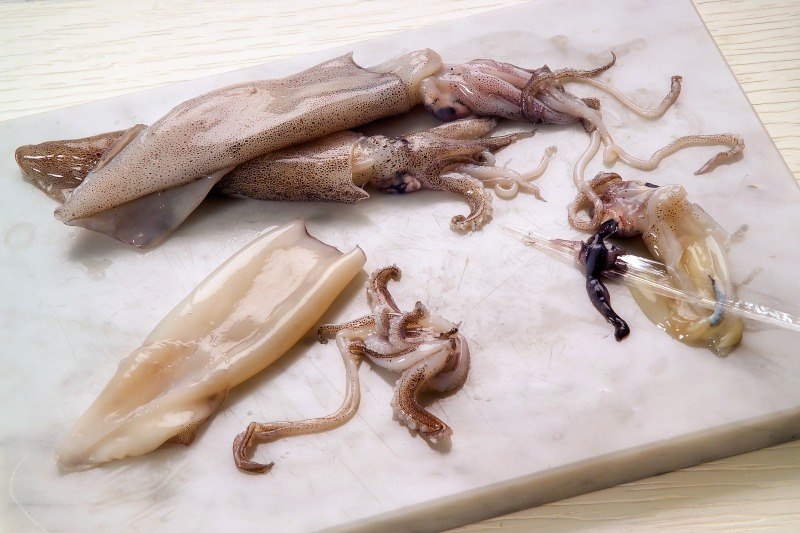 INSALATA TIEPIDA DI MARE (STEP 1) - 1521 - immagine 1