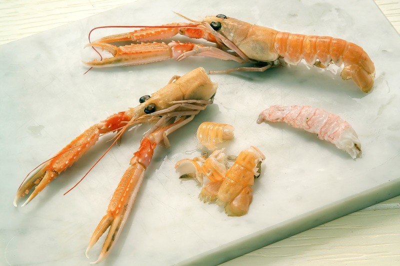 INSALATA TIEPIDA DI MARE (STEP 2) - 1524 - immagine 1