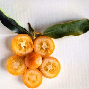 DECORO KUMQUAT - 4581