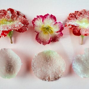 PETALI BRINATI - 4590